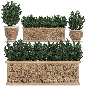ornamental bushes classic flowerpots 3D model