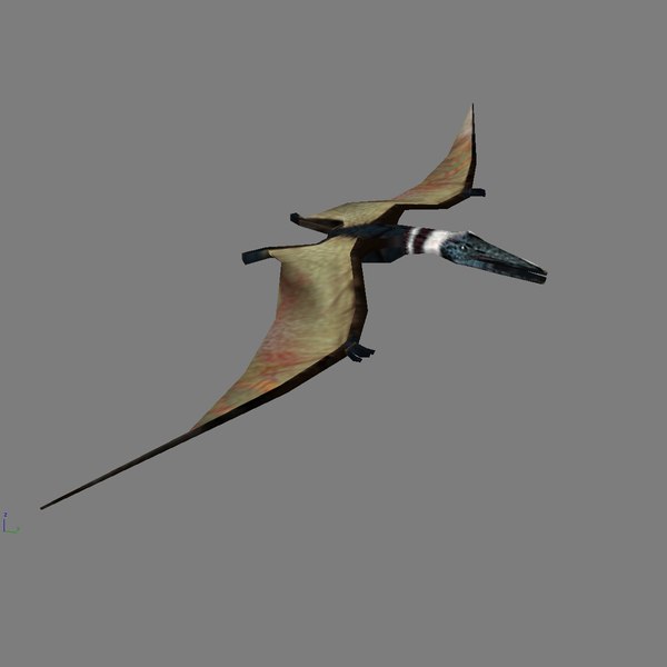 3d model of pterodactylus