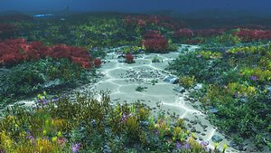 3D Underwater seabed