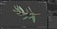 Olive Branch with Black Olives Lying 3D model