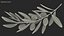 Olive Branch with Black Olives Lying 3D model