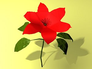colorful flower 3d lwo