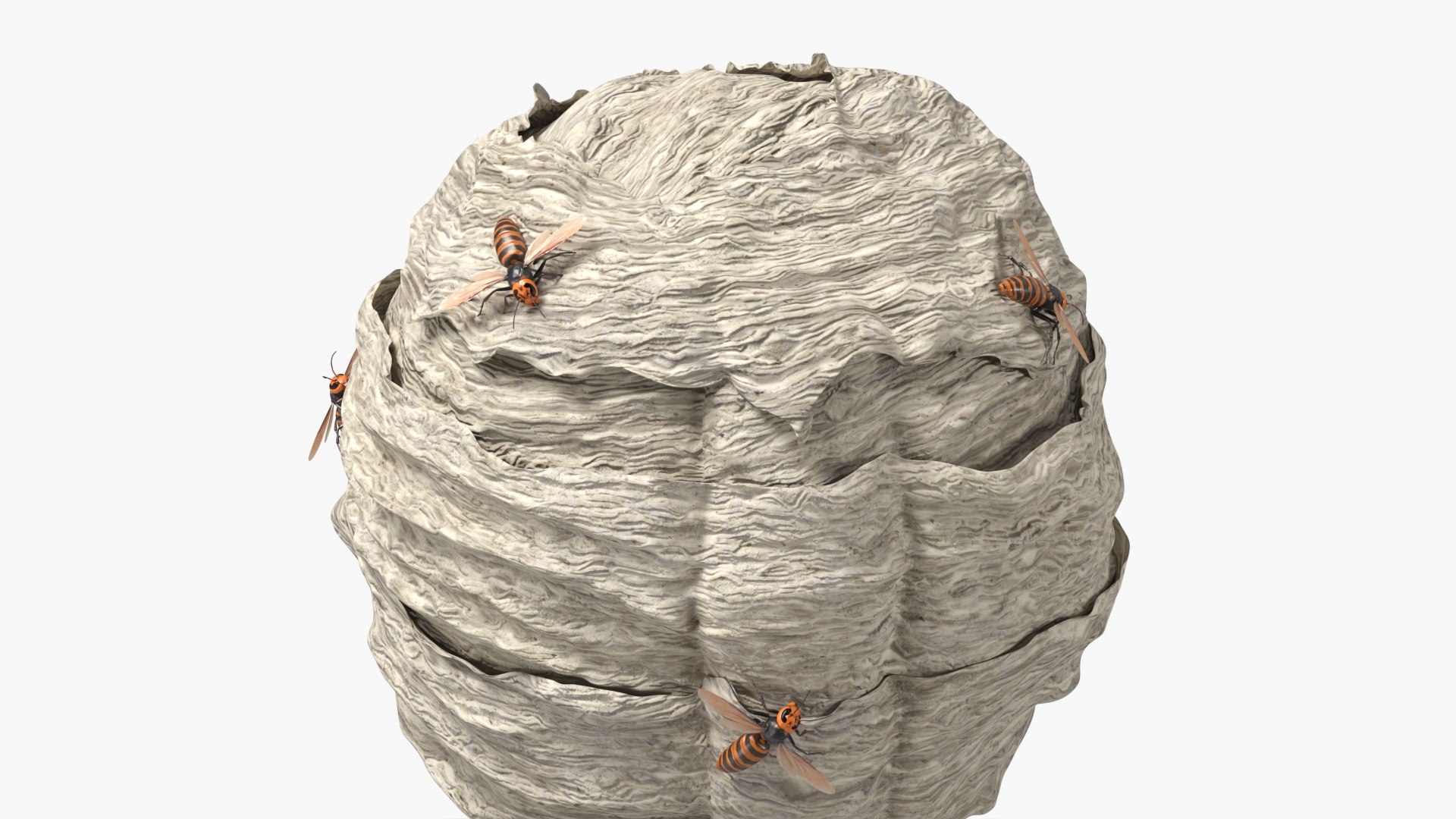 Wild Hornet Nest Covered with Crawling Wasps 3D https://p.turbosquid.com/ts-thumb/yF/CNe47K/2s/wild_hornet_nest_covered_with_crawling_wasps_004/jpg/1763434095/1920x1080/fit_q87/bf5af71d61cc3a6f57310bae3ee1c842631c61d0/wild_hornet_nest_covered_with_crawling_wasps_004.jpg
