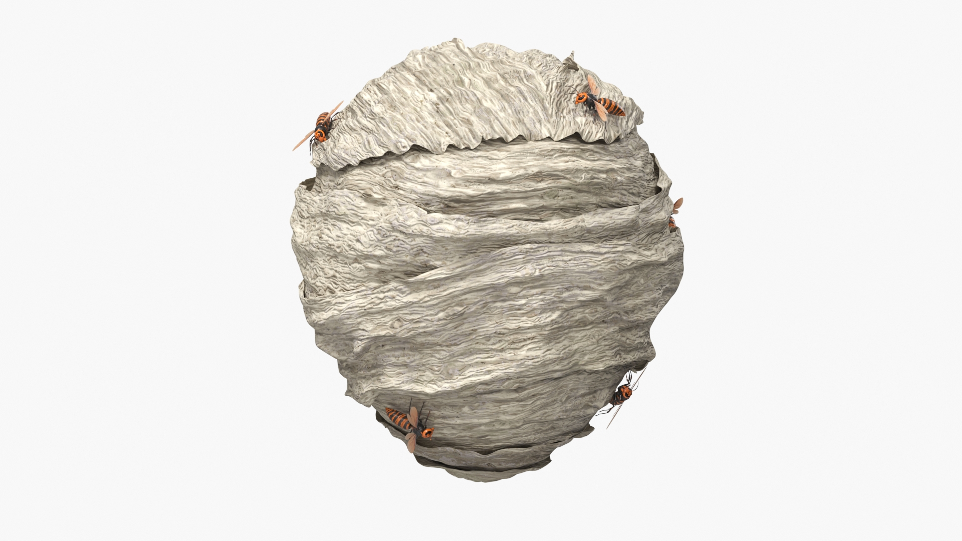 Wild Hornet Nest Covered with Crawling Wasps 3D https://p.turbosquid.com/ts-thumb/yF/CNe47K/Ed/wild_hornet_nest_covered_with_crawling_wasps_360/jpg/1763434008/1920x1080/turn_fit_q99/55607ce0f89e3113cb0030365b04c3f6286093fc/wild_hornet_nest_covered_with_crawling_wasps_360-1.jpg