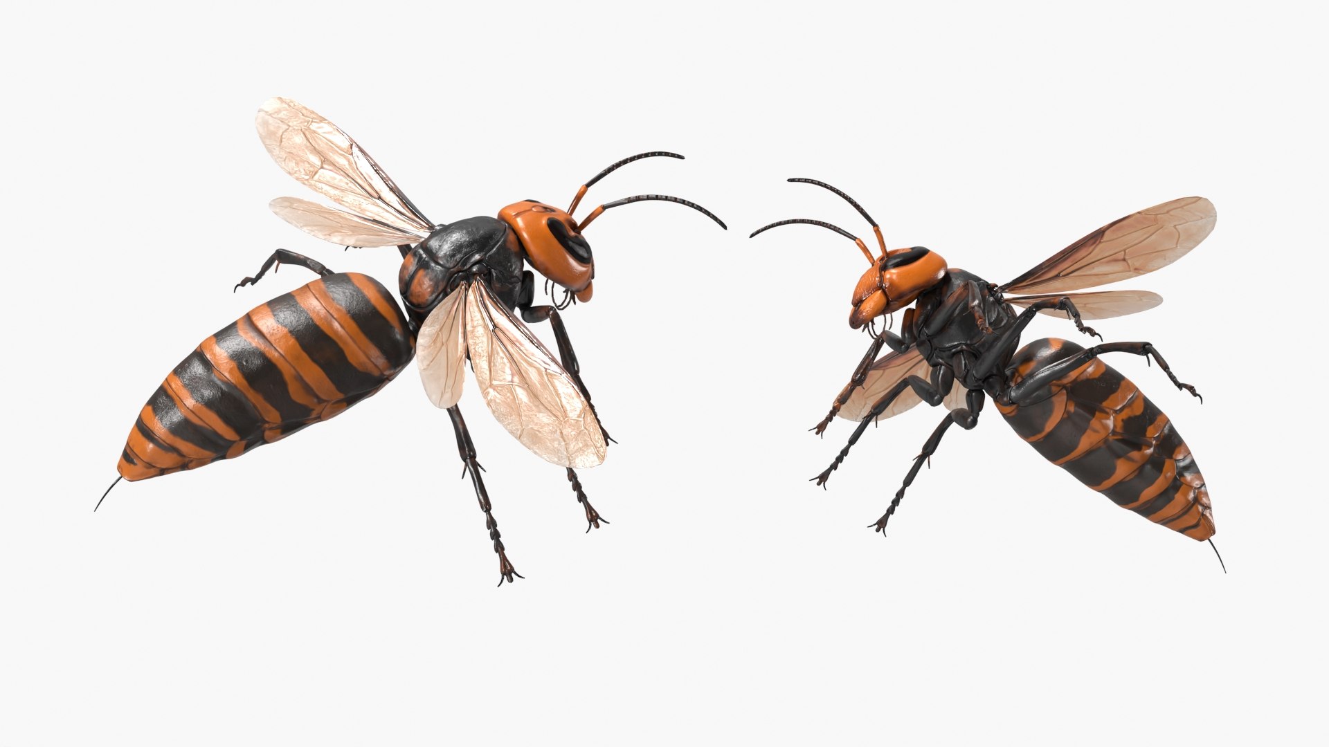 Wild Hornet Nest Covered with Crawling Wasps 3D https://p.turbosquid.com/ts-thumb/yF/CNe47K/Se/wild_hornet_nest_covered_with_crawling_wasps_007/jpg/1763434106/1920x1080/fit_q87/e1cda73646d13198306f4ebad6af67b7dc56933a/wild_hornet_nest_covered_with_crawling_wasps_007.jpg