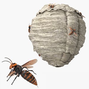 Wild Hornet Nest Covered with Crawling Wasps 3D