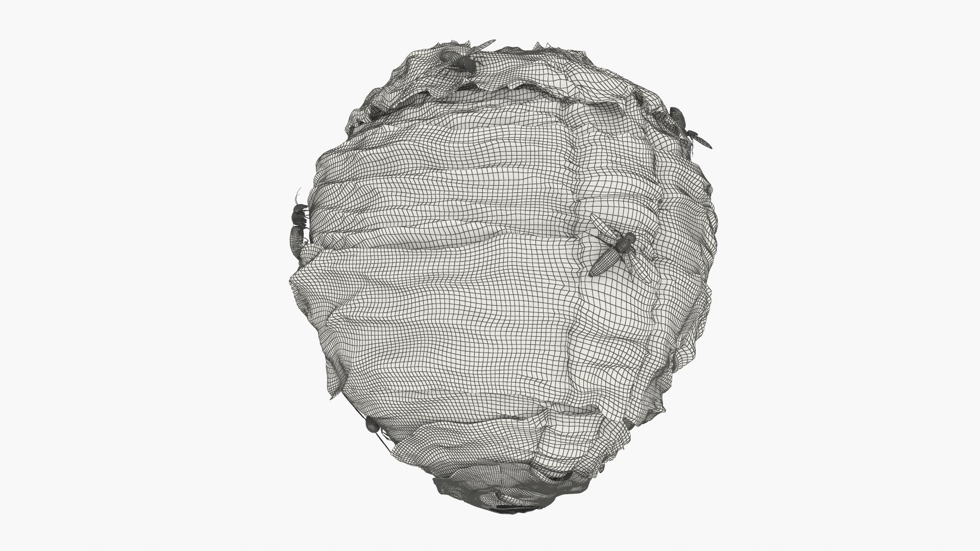 Wild Hornet Nest Covered with Crawling Wasps 3D https://p.turbosquid.com/ts-thumb/yF/CNe47K/qm/wild_hornet_nest_covered_with_crawling_wasps_011/jpg/1763434120/1920x1080/fit_q87/878e44db324bed1265daad3621d5487cfbbcbcf5/wild_hornet_nest_covered_with_crawling_wasps_011.jpg