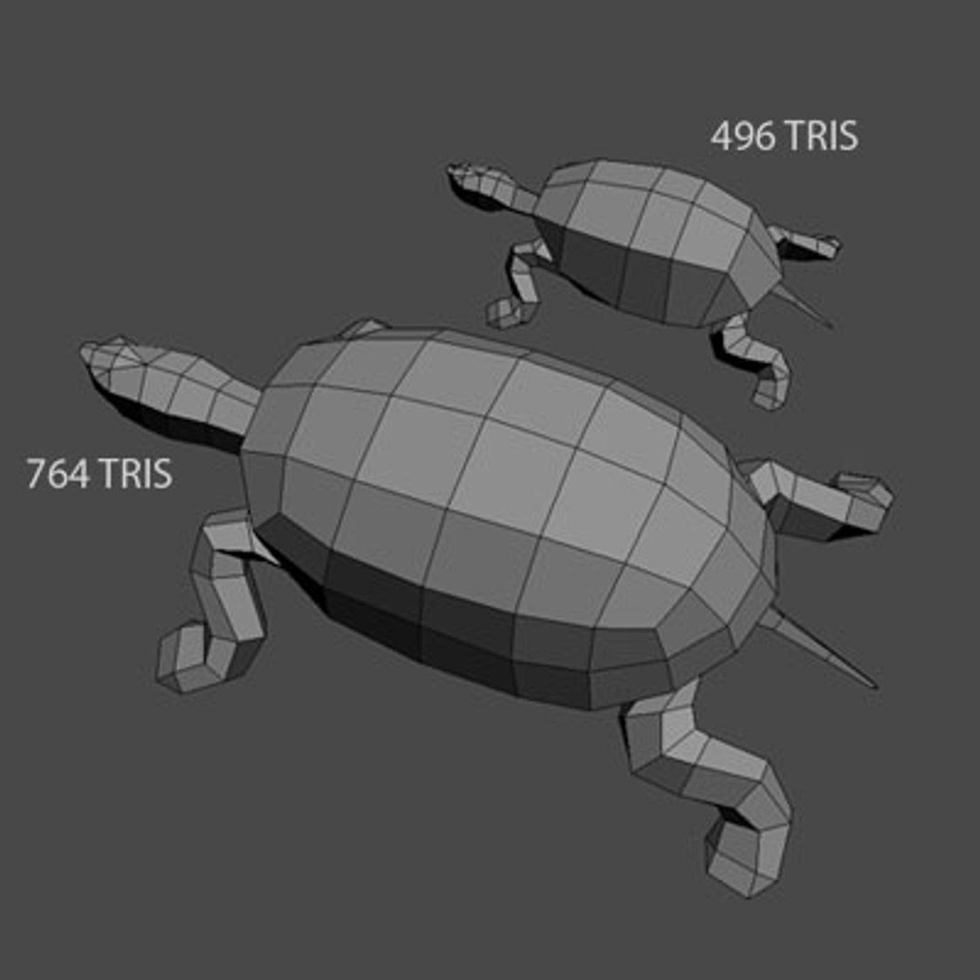 Max Mauremys Turtle