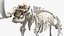 Adult Mammoth Clean Skeleton Shell Roar model