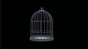 Bird cage