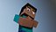 Steve 3D