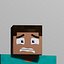 Steve 3D