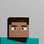 Steve 3D