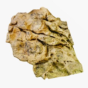 Beach Rock Scan Free Example 3D model