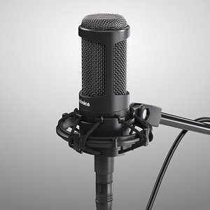 Microphone
