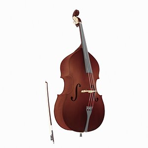 double bass 3D