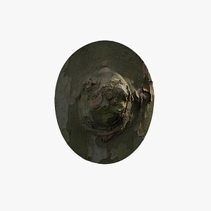 3D model Anydrafts Platanus orientalis Burl 01