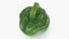 Poivron vert