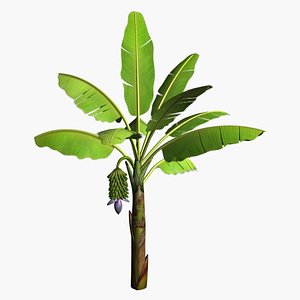 banana tree 3d 3ds