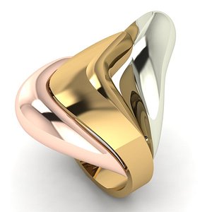 3D 3 pieces ring model