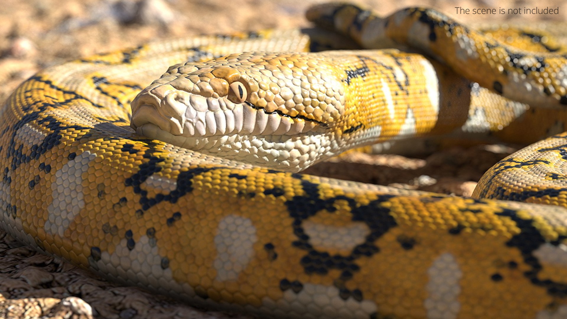Reticulated Python Rigged for Maya 3D model preview
