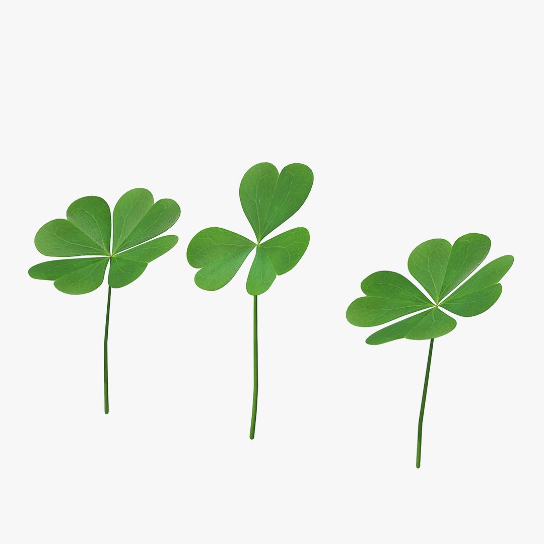 Green Clover Plant Set 3D model preview