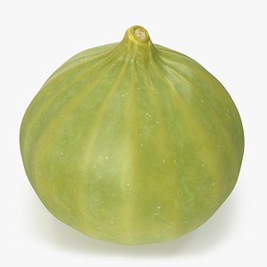 3D Green Fig Fruit model