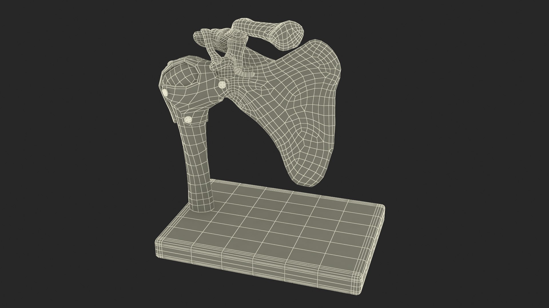 Shoulder Joint 3D Model - TurboSquid 2287835