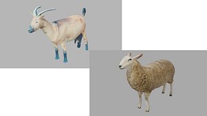 Goat and Sheep Pack 3D model