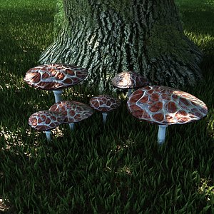 fungus set mushrooms 3D model