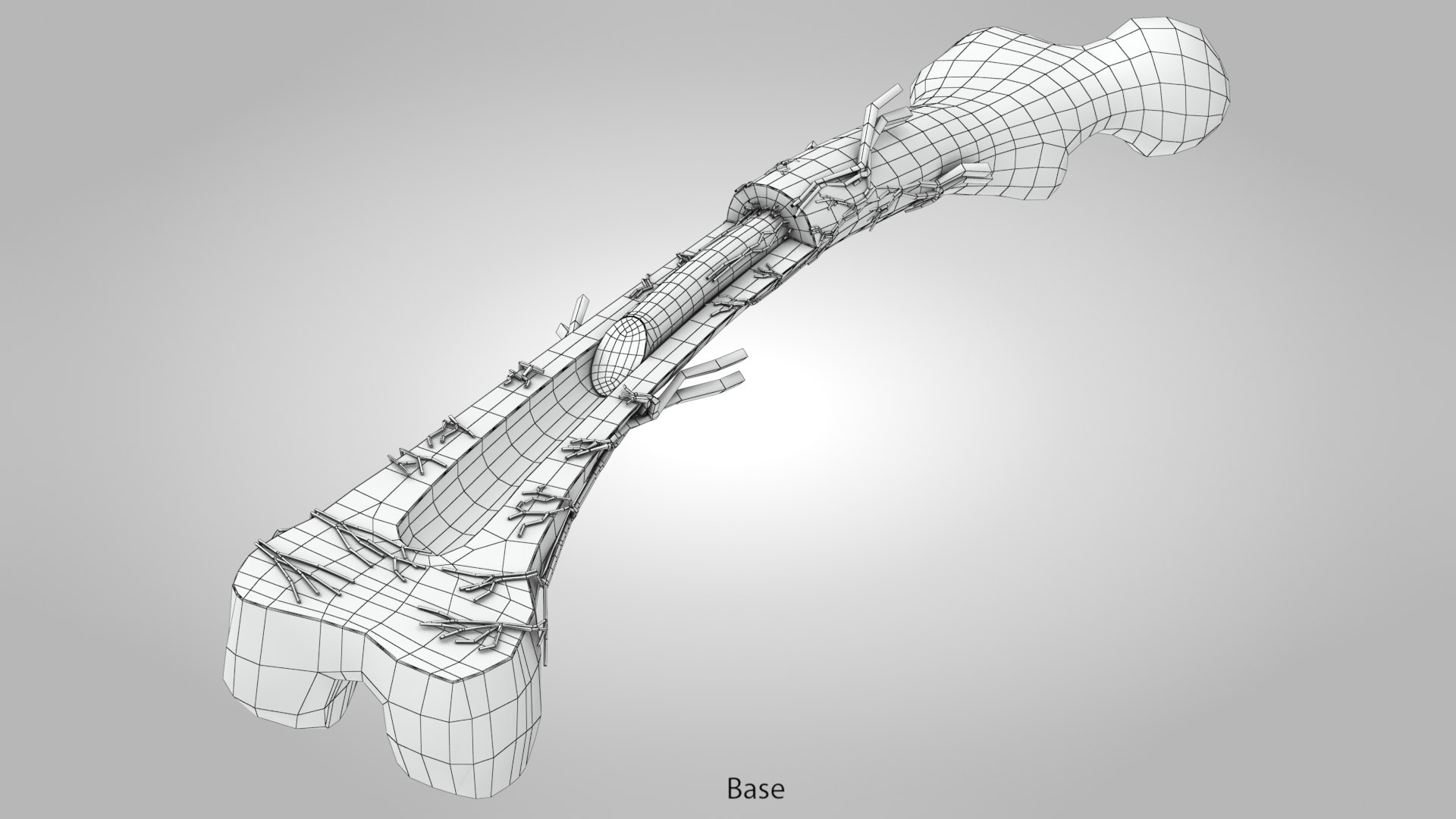Bone Anatomy 3D Model - TurboSquid 1767779