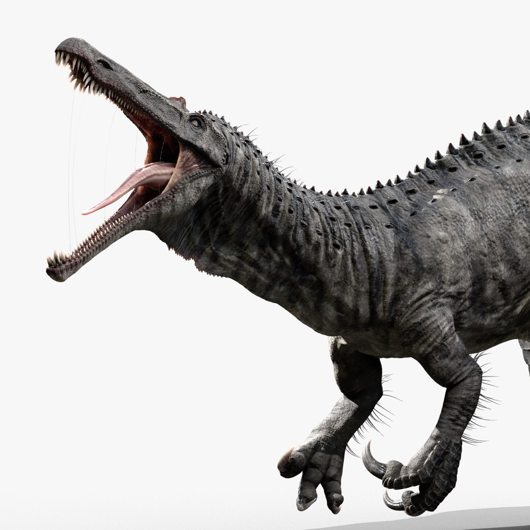 Suchomimus tenerensis model - TurboSquid 1546634