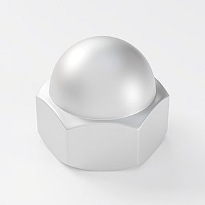 Nut Dome Head 3D model