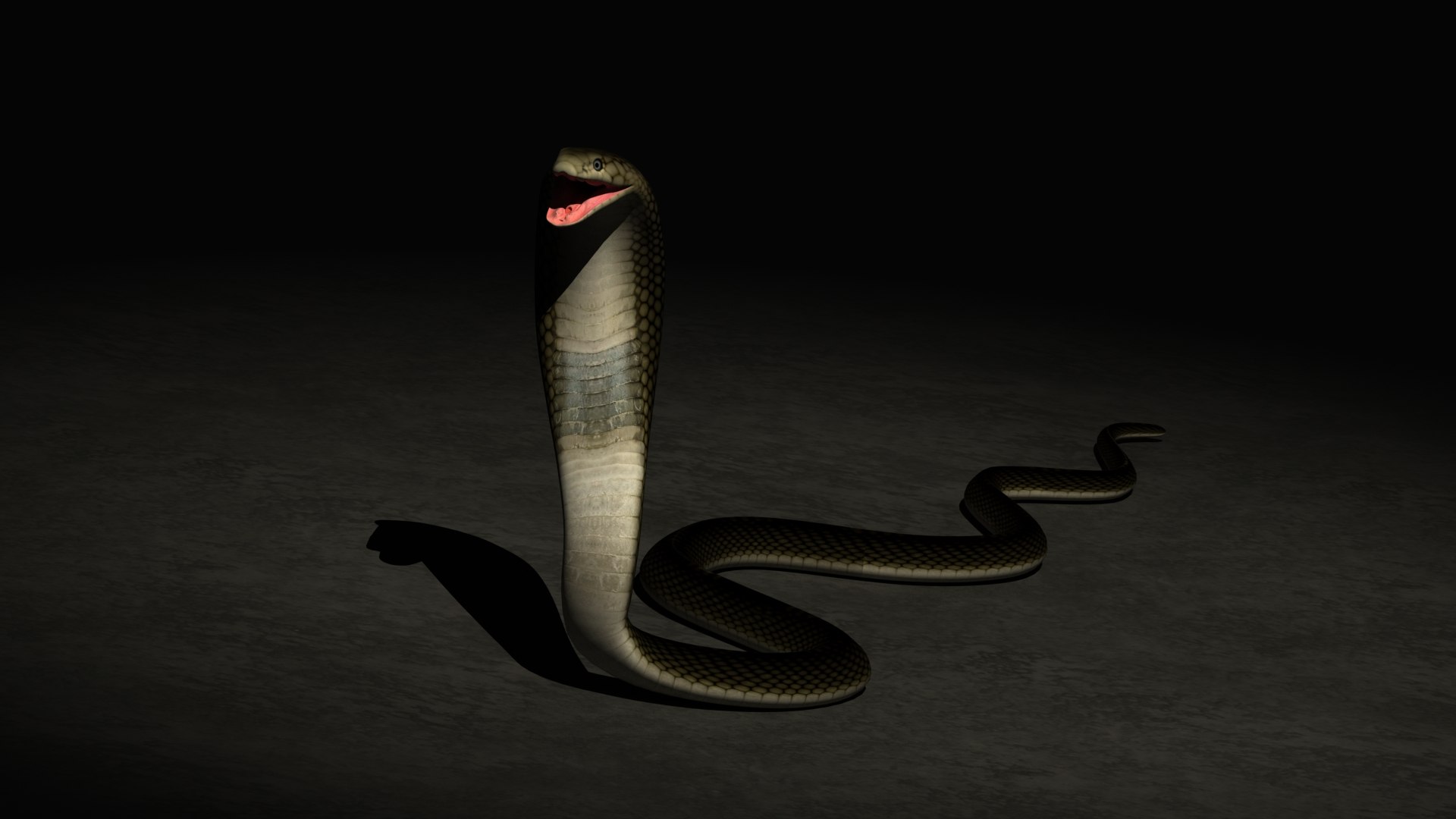 Animated Cobra 3d Model - Turbosquid 2064933