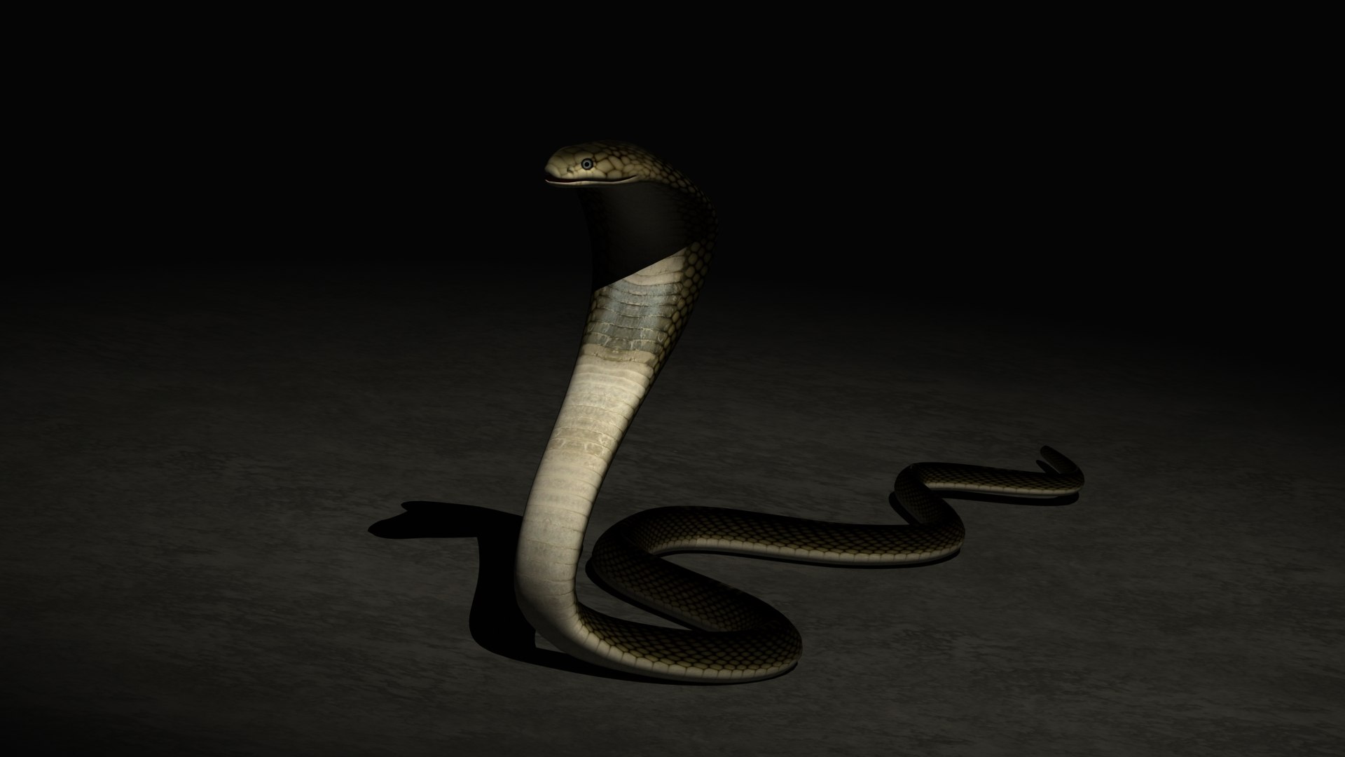 Animated Cobra 3D model - TurboSquid 2064933