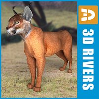 Caracal by 3DRivers