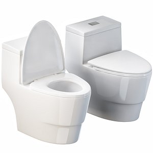 woodbridge t-0001 dual flush model