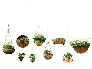 Fragaria - woodland strawberry 02 3D model