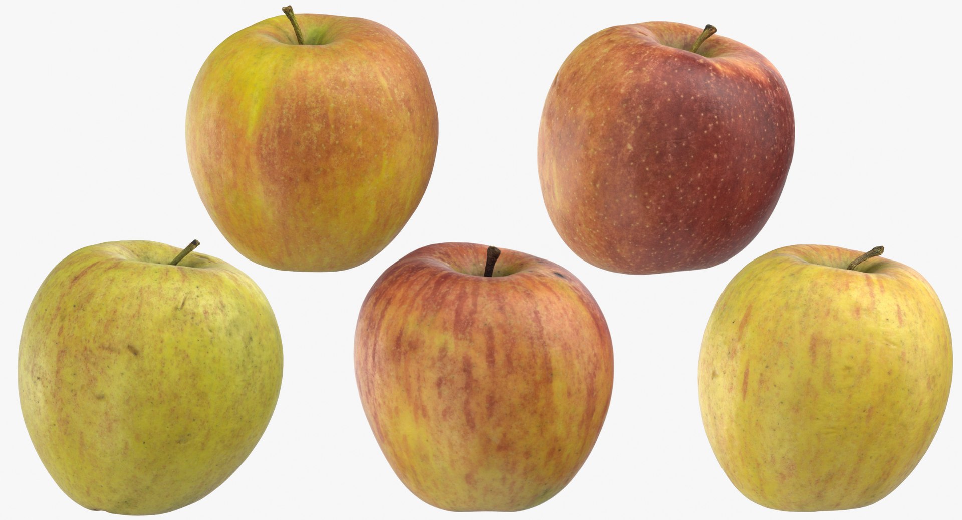 3D apples 01 - ambrosia https://p.turbosquid.com/ts-thumb/yH/xfSYuG/2r7zC2us/apples_collection_01_group_thumbnail_02/jpg/1572949948/1920x1080/fit_q87/7a51180417eb5e0a5e7a5c6acf8e1e311c633e3d/apples_collection_01_group_thumbnail_02.jpg