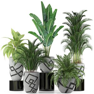plants 236 3D