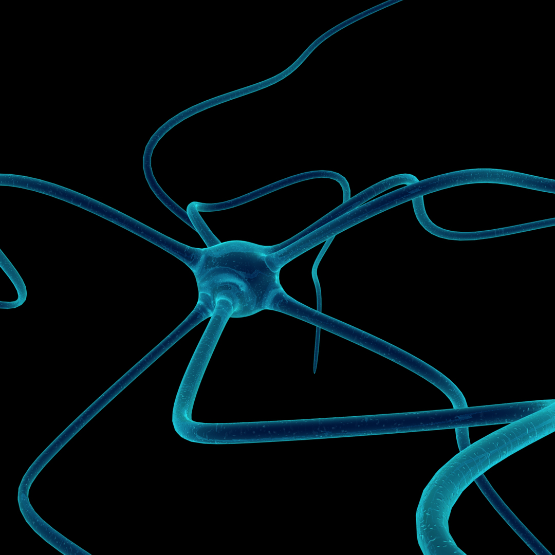 cell dendrite transmission 3d max https://p.turbosquid.com/ts-thumb/yI/26pZc7/508GD7e6/neuron/png/1335626446/1920x1080/turn_fit_q99/186215906f7ea641bec270cff0ef74401350d79f/neuron-1.jpg