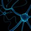 Neuron