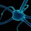Neuron