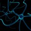 Neuron