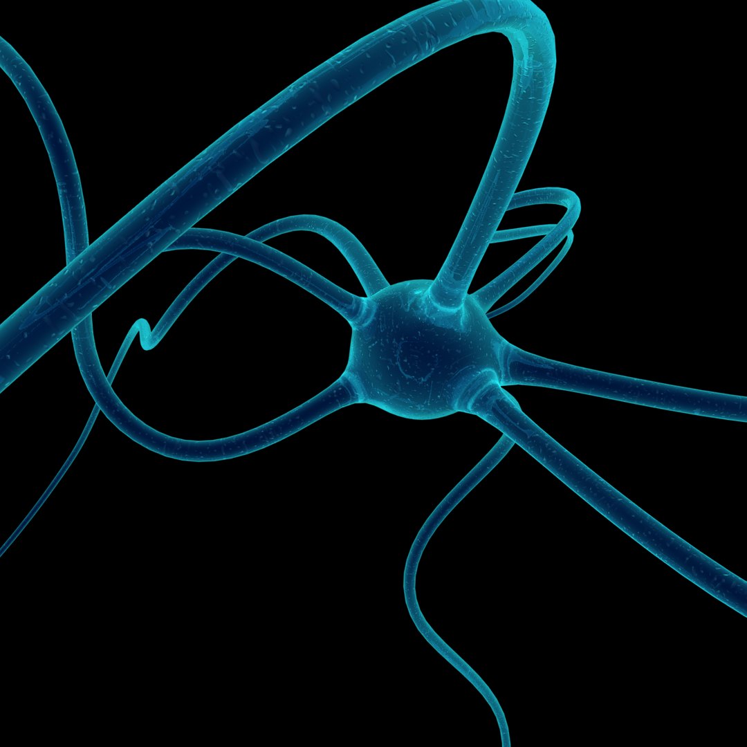 cell dendrite transmission 3d max https://p.turbosquid.com/ts-thumb/yI/26pZc7/h8VAKR64/neurone1200x1200v3/png/1333376810/1920x1080/fit_q87/8f1df82d8c83e6300f5e2da7d4b304c47924d883/neurone1200x1200v3.jpg