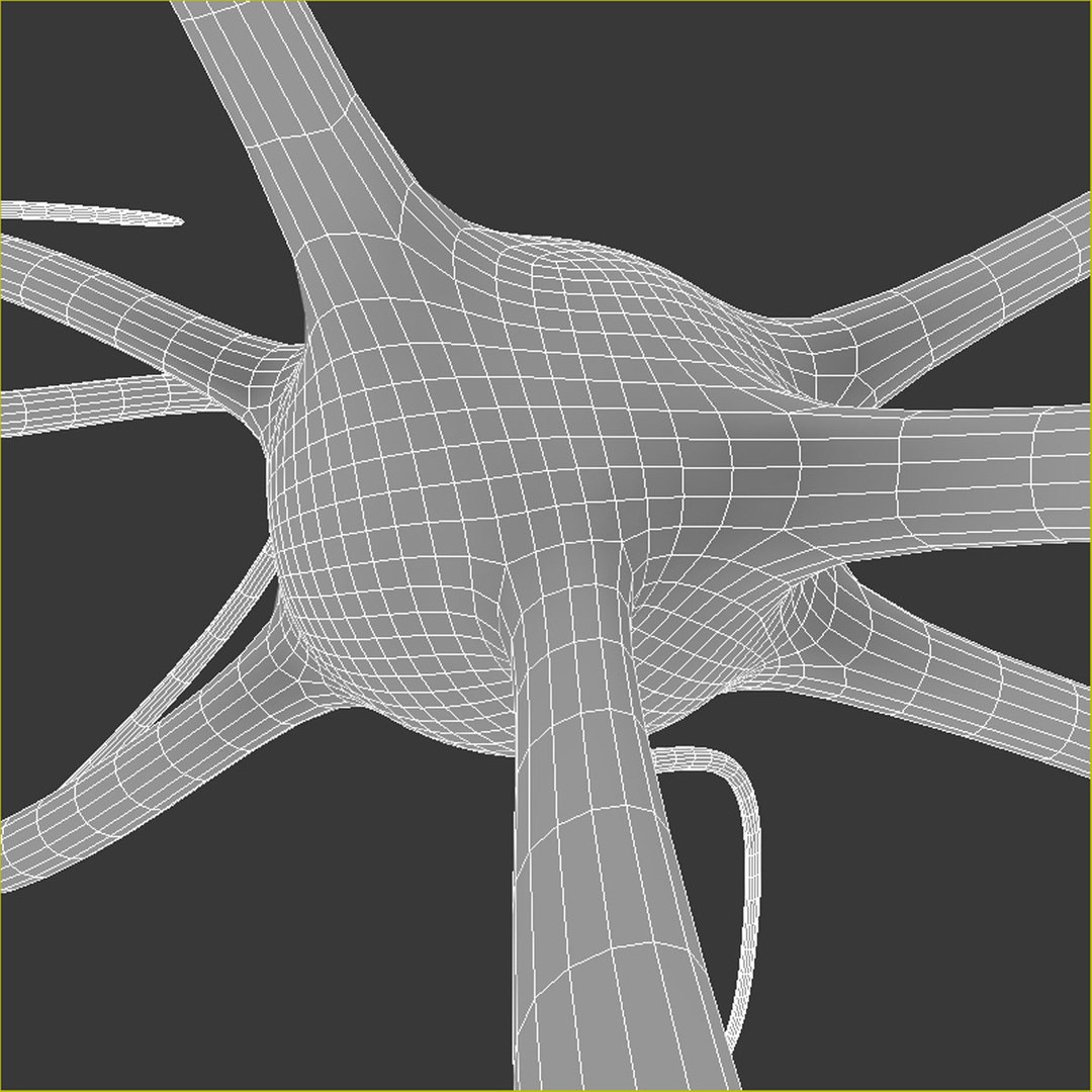 cell dendrite transmission 3d max https://p.turbosquid.com/ts-thumb/yI/26pZc7/hBlmVIWm/neuronesmoothclopsewire/jpg/1333376810/1920x1080/fit_q87/c657ebc52e092a76c41d86706352f7de7df2e85b/neuronesmoothclopsewire.jpg