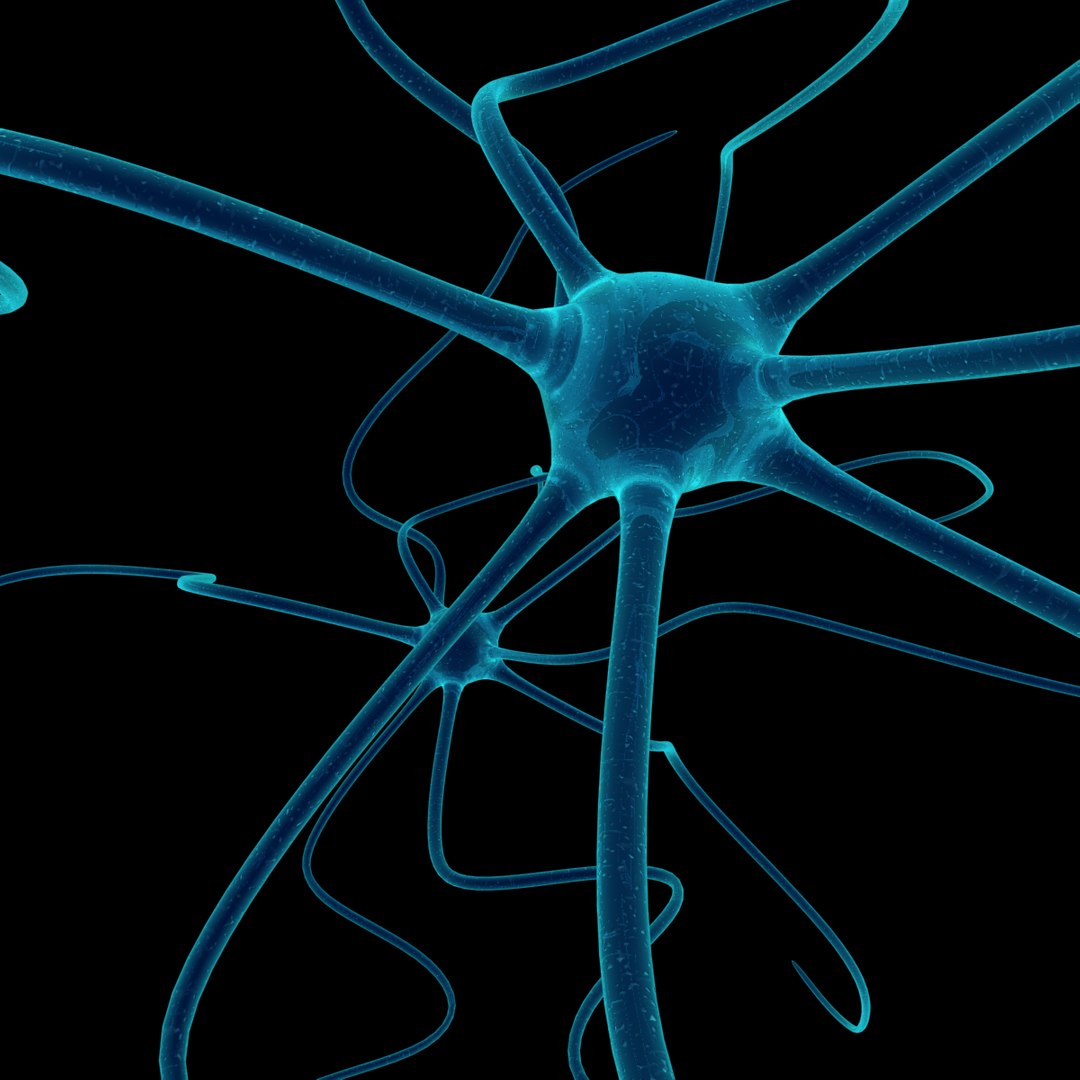 cell dendrite transmission 3d max https://p.turbosquid.com/ts-thumb/yI/26pZc7/qPGDKhHU/neurone1200x1200v2/png/1333376810/1920x1080/fit_q87/b16d4d550d088fb710bd365f124de67299e7c617/neurone1200x1200v2.jpg