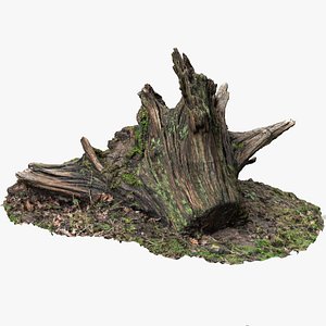 8K Small Stump