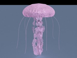 jellyfish fish 3d model
