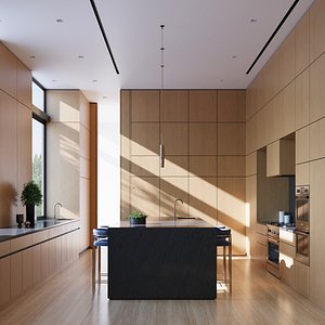 3D luxury modern kitchen interior render